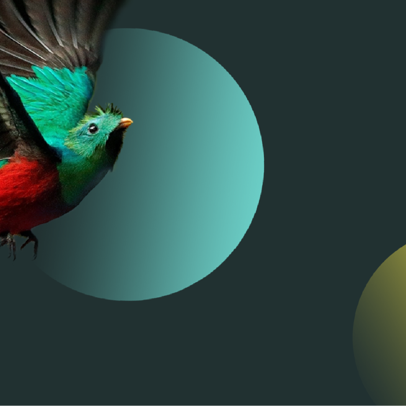 Digital Marketing Strategy