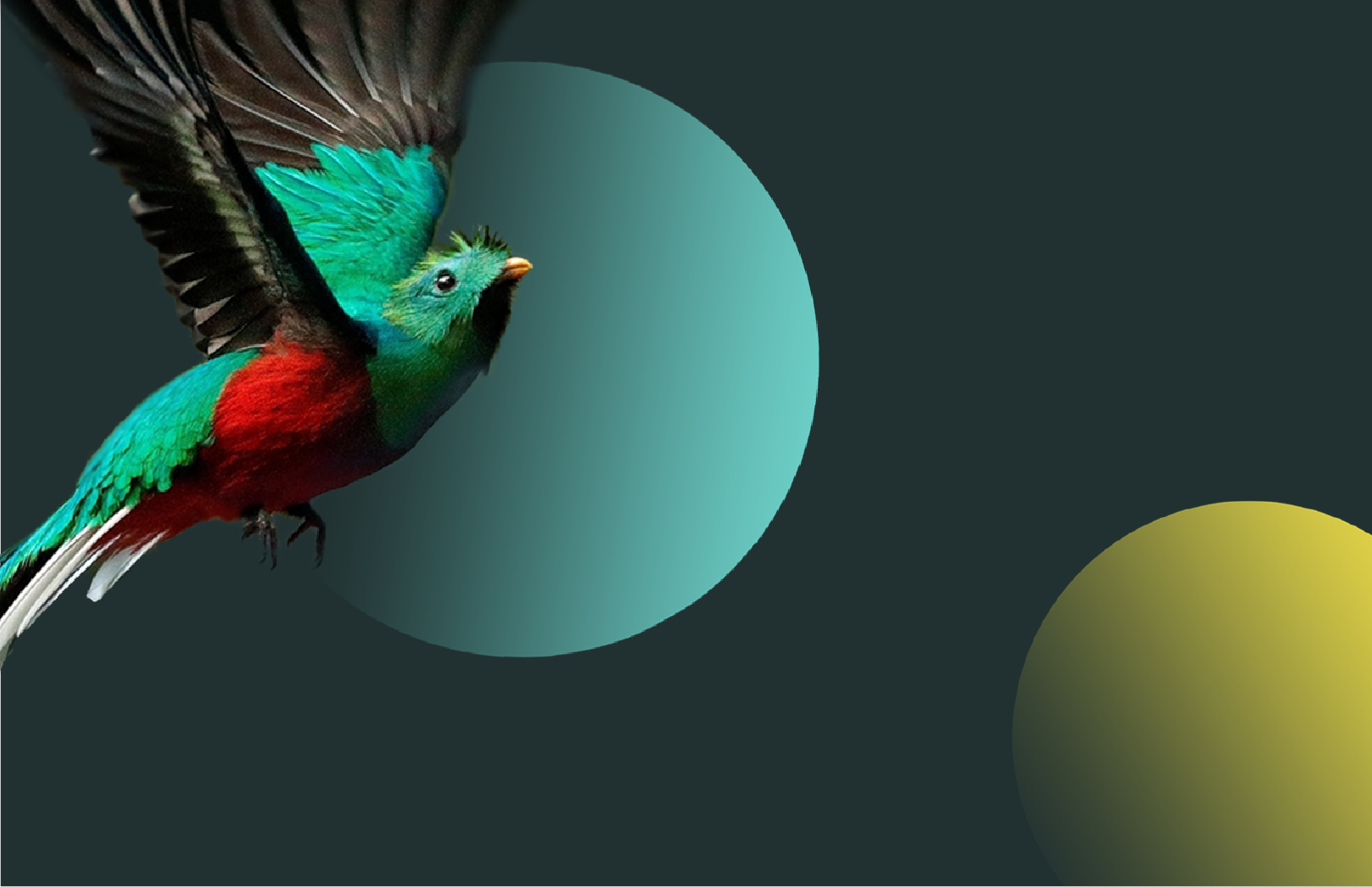 Impulse your Digital Marketing Strategy <br> with Ketzal